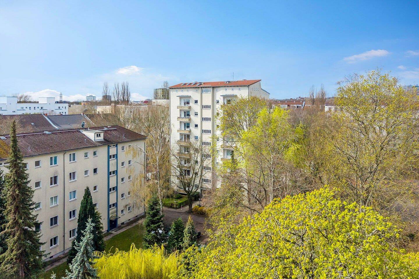 image-72619416