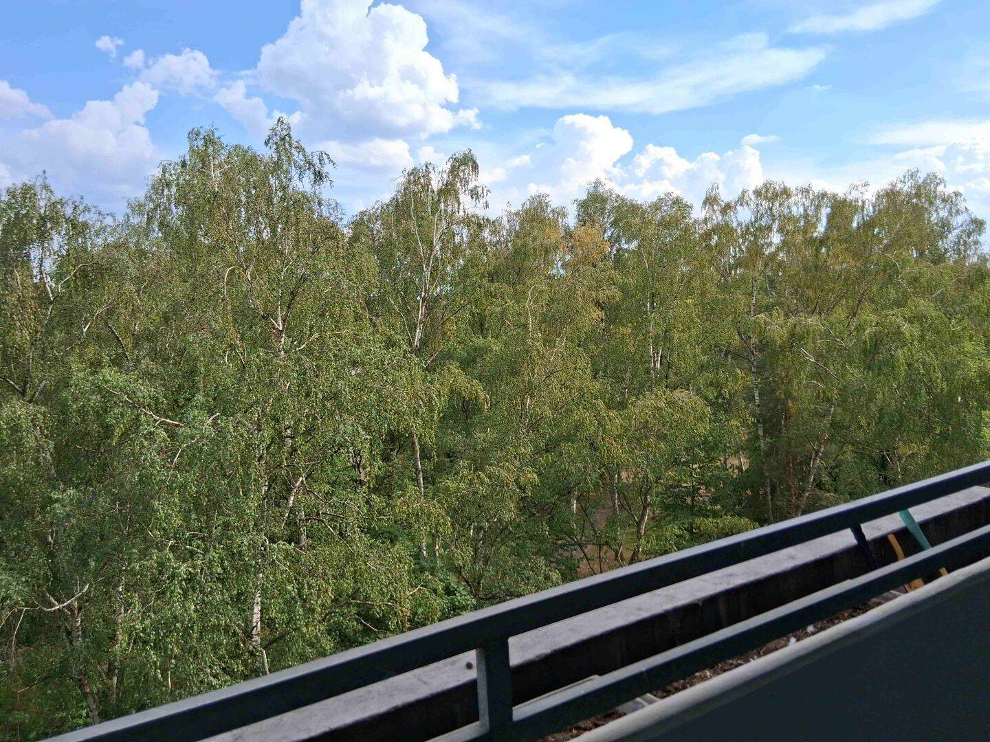 2-ZW, 6.OG, Nbg. Langwasser Nord, gr. Südbalkon, ruhige & grüne Lage, 80m zur U-Bahn, Einkaufscenter, 90471 Nürnberg (Dutzendteich Langwasser Neuselsbrunn Stadion Zollhaus)
