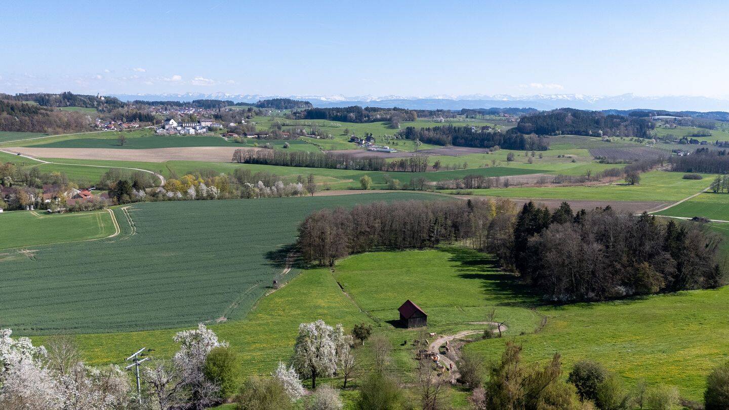 Wohnen im Grünen (Tier / Pferdehaltung möglich) mit atemberaubendem Panoramablick und viel Land, 88287 Grünkraut