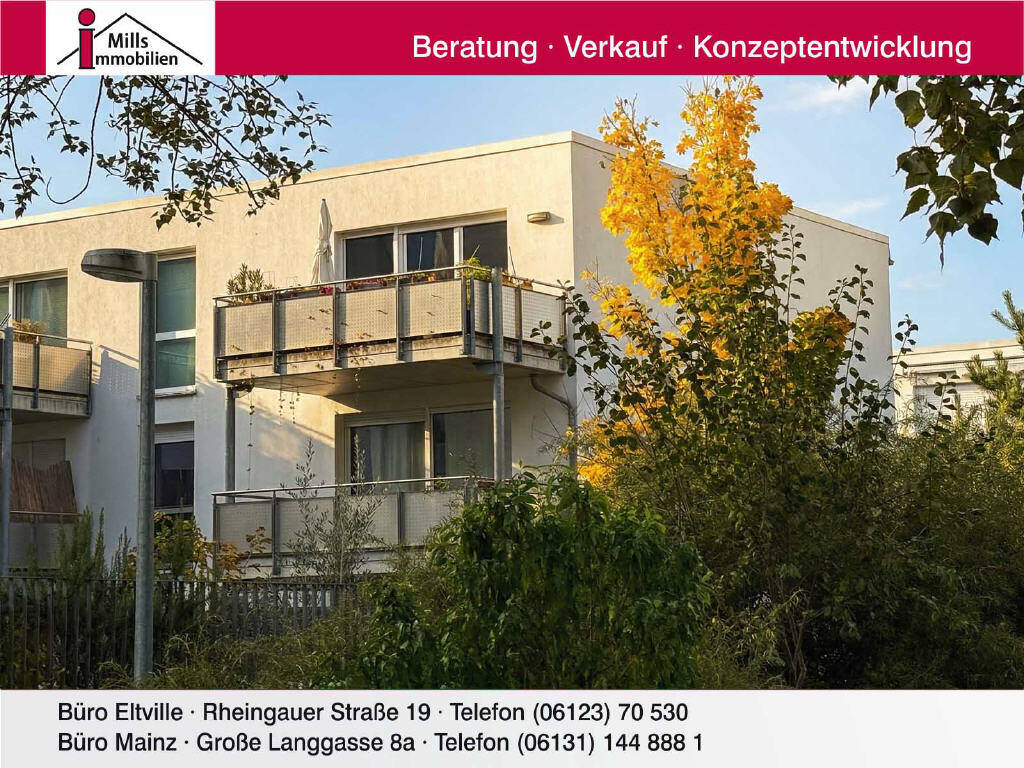 image-72458599