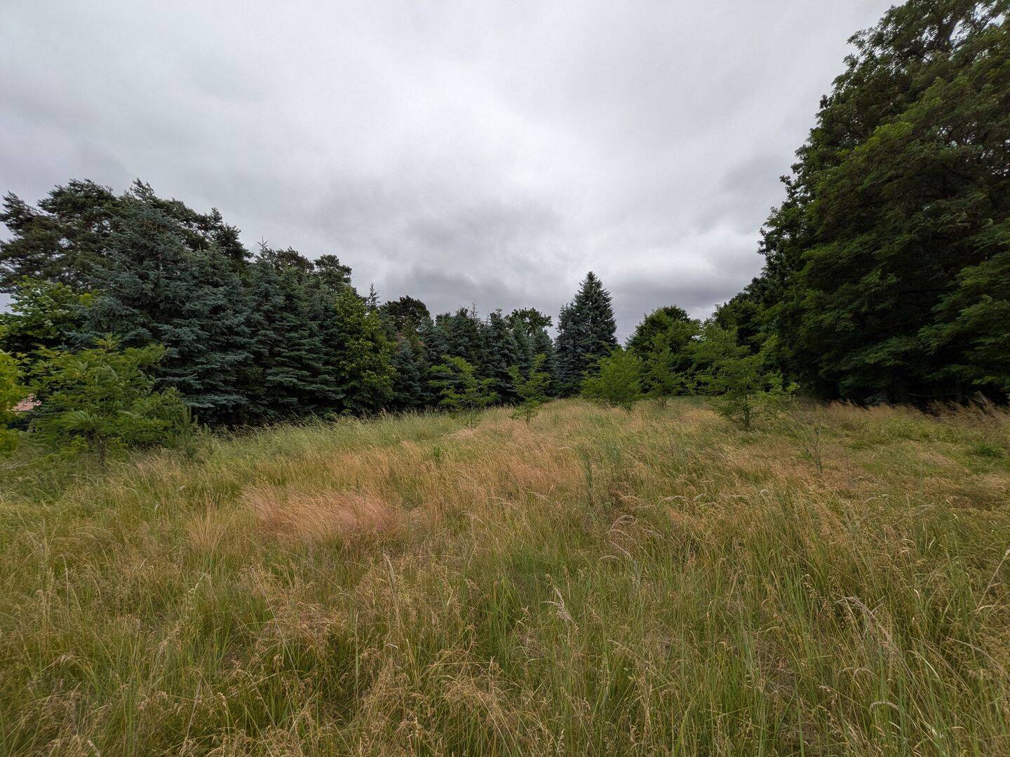 932 m² Baugrundstück mit Bauvorbescheid in Kemberg, 6901 Kemberg