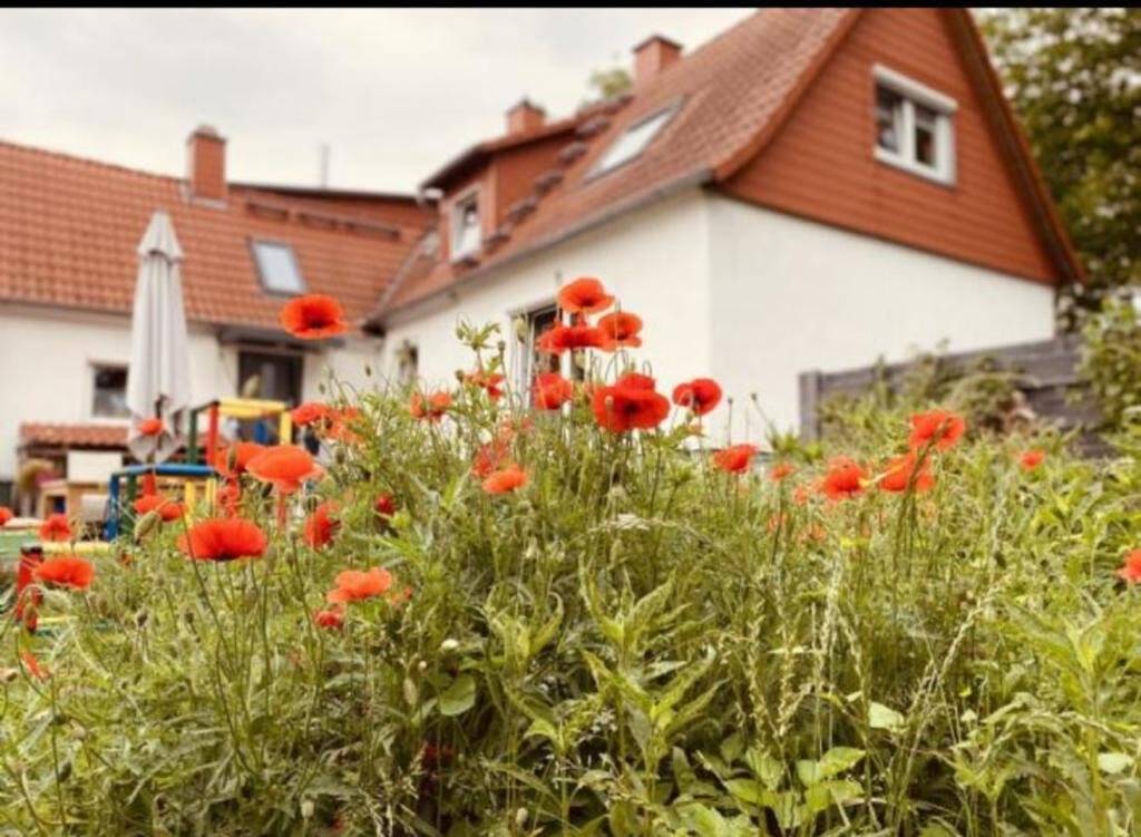 Schönes, helles Einfamilienhaus mit Garten in zentraler Lage für eine kleine Familie, 34123 Kassel (Bettenhausen Forstfeld Unterneustadt Waldau)