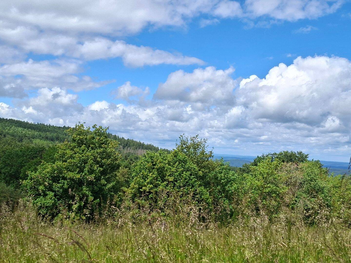 Dalherda (Gersfeld) in landschaftlich traumhafter Lage ! (Ferien-)Häuschen mit größerem Grundstück im Dornröschenschlaf :), 36129 Gersfeld (Rhön)