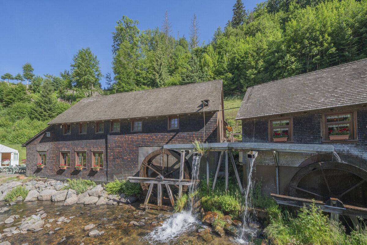 Schwarzwaldromantik pur: an 365 Tagen, 78120 Furtwangen im Schwarzwald