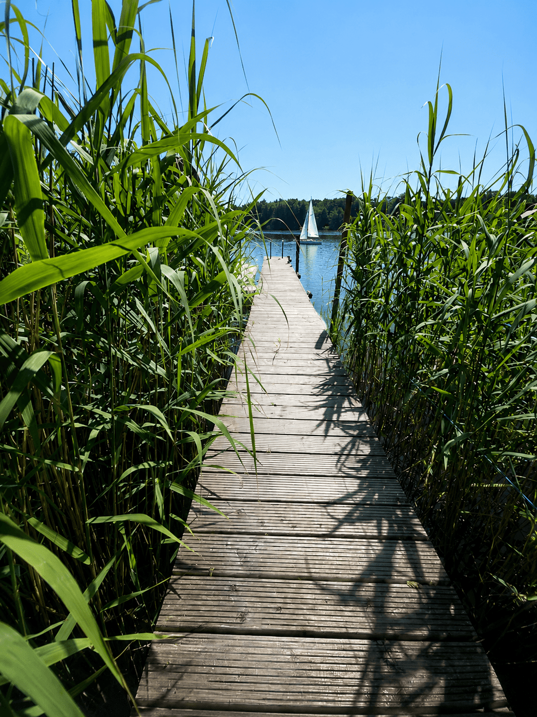 Goldstaub am Molchowsee – 8 min bis NP Schulplatz, 16827 Neuruppin