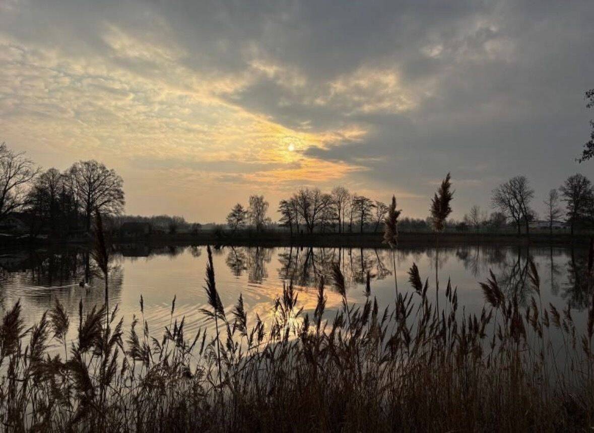 Einzigartiges Teichanwesen in Reinharz – Natur, Ruhe und vielfältige Möglichkeiten, 6905 Bad Schmiedeberg