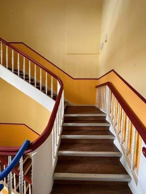 image-72661020