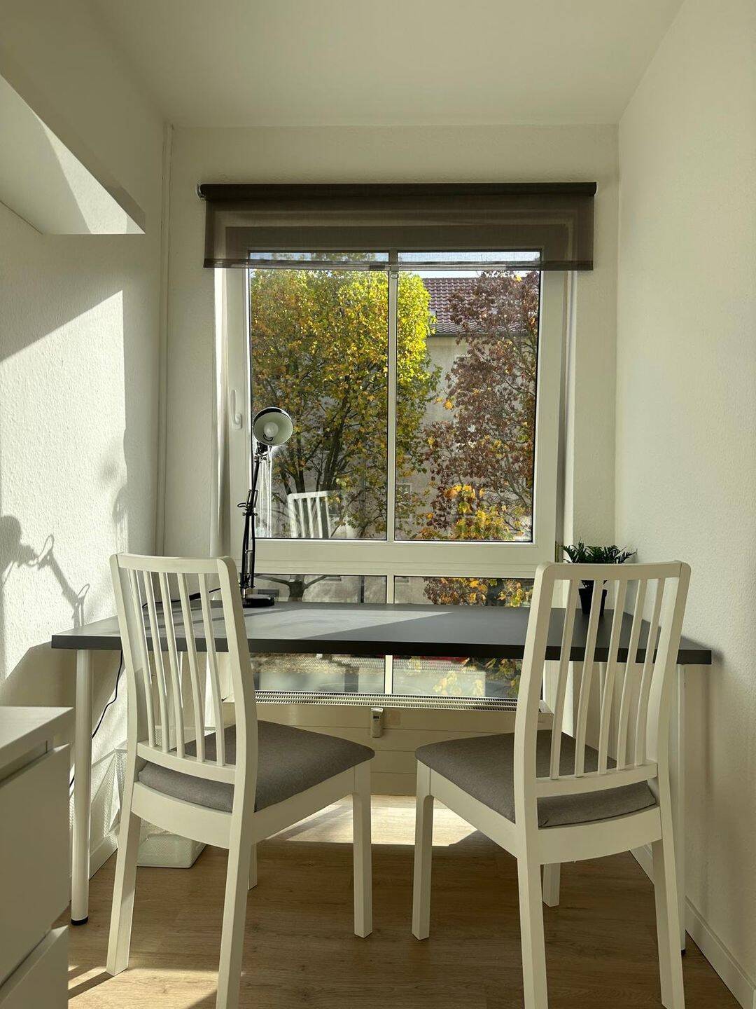 Möblierte 1-Zimmer-Wohnung mit Terrasse & Stellplatz in Fürth, 90763 Fürth (Südstadt Weikershof)