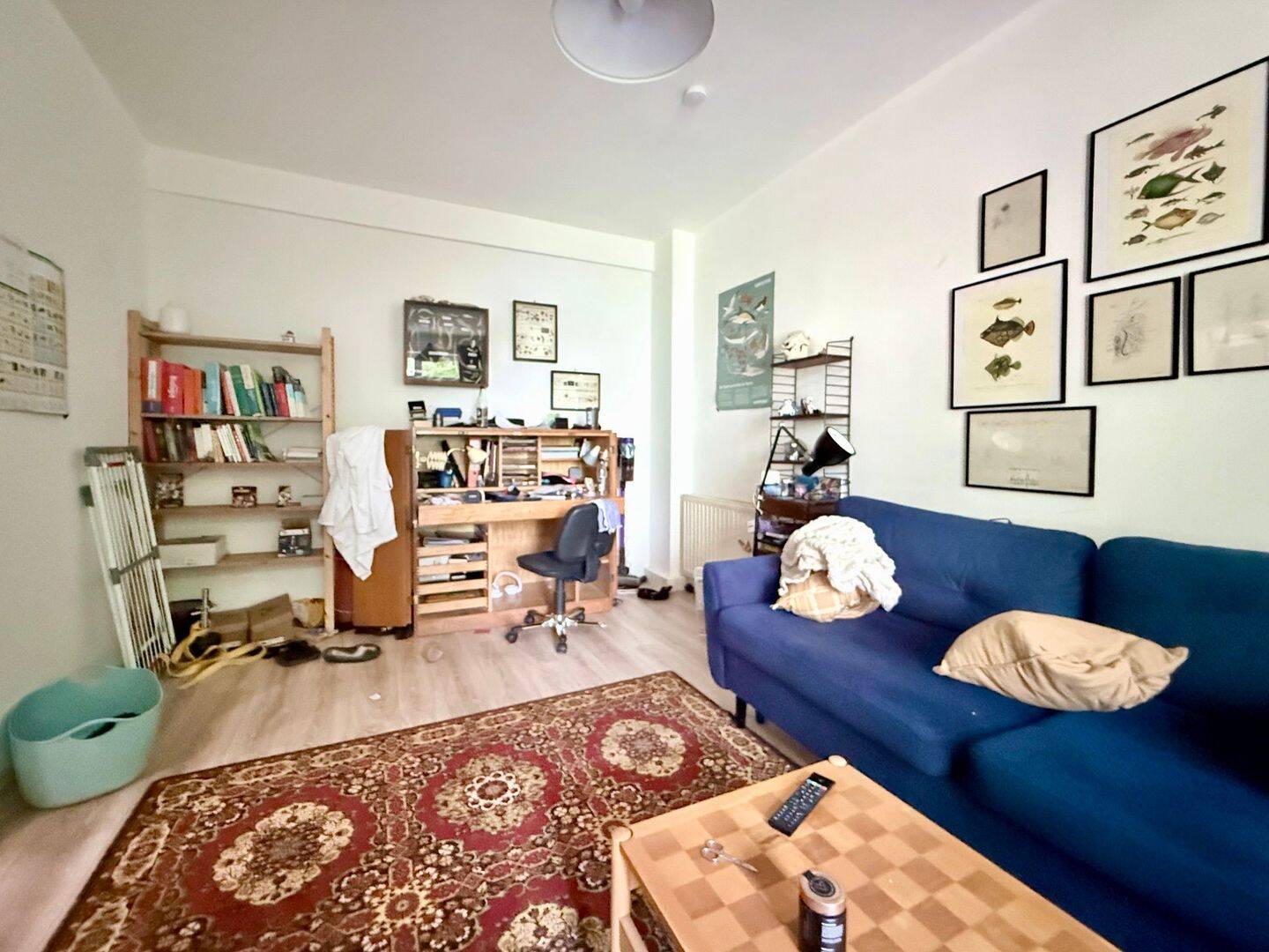 Sanierte 2 Zimmer Erdgeschosswohnung in Bremen Findorff, 28215 Bremen (Bahnhofsvorstadt Findorff-Bürgerweide Regensburger Straße Weidedamm)