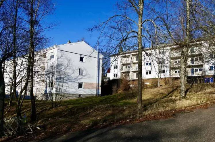 386.12 Schöne 3 Zimmer Wohnung in den Tannen 12- 3 OG links, 66953 Pirmasens (Innenstadt)