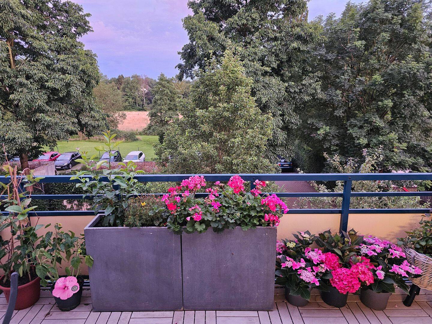 image-72753178