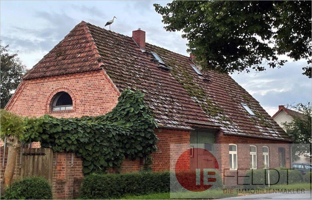 Ihr Traumhaus in Mecklenburg Vorpommern: Liebevoll saniertes Bauernhaus mit traumhaftem Bauerngarten, 19374 Parchim