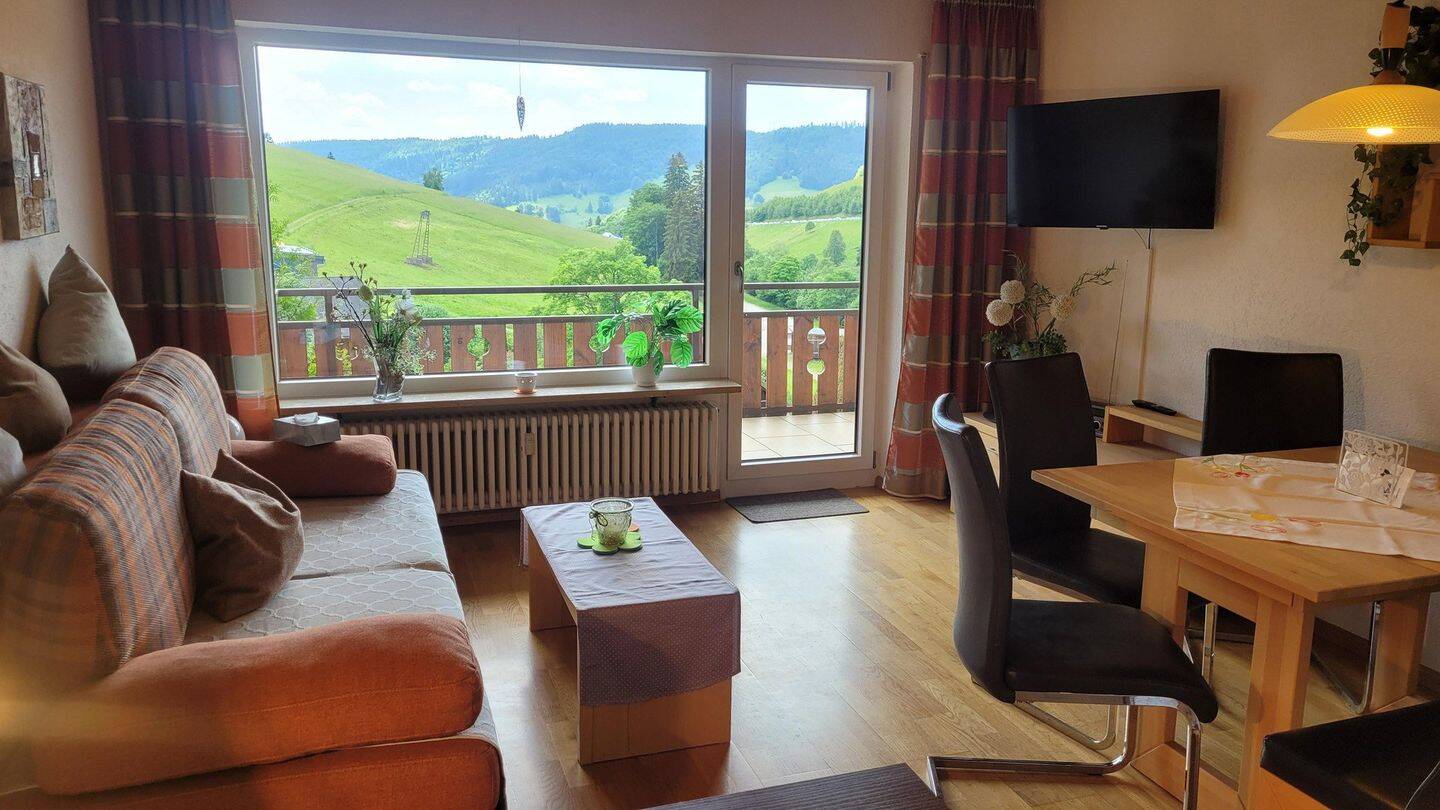 Wohnung mit Ausblick und großem Balkon, 79674 Todtnau