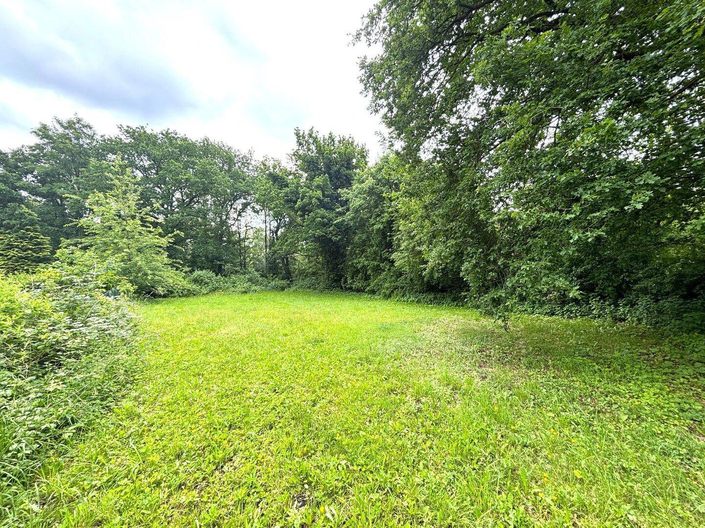 Traumhaftes Grundstück in ruhiger und gleichzeitig zentraler Lage in Norderstedt, 22846 Norderstedt