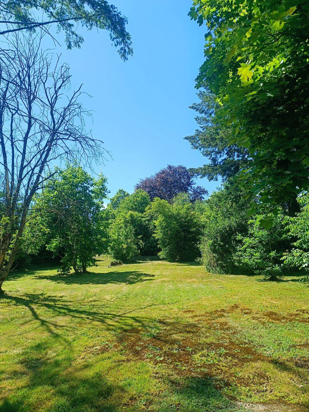 Attraktives, parkähnliches Baugrundstück im Zentrum, 94081 Fürstenzell