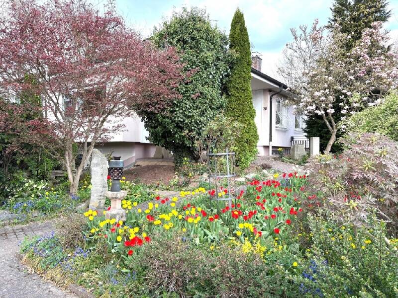HOME & OFFICE… EFH MIT ELW, GROSSEM GRUNDSTÜCK UND ZWEI GARAGEN…, 36093 Künzell