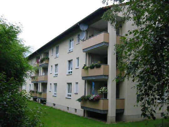 image-72730875