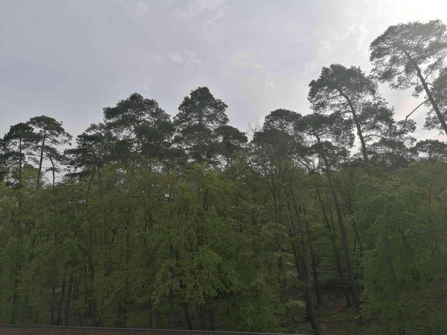 Komplett möblierte 3 Zimmer Wohnung am Wald, nahe zur internationalen Schule, 64297 Darmstadt (Eberstadt)