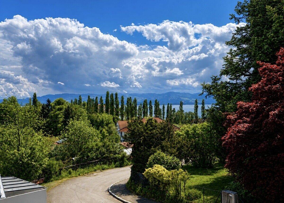 2,5 Zimmer Wohnung mit unverbaubarem Berg- und Seeblick in Wasserburg, 88142 Wasserburg (Bodensee)