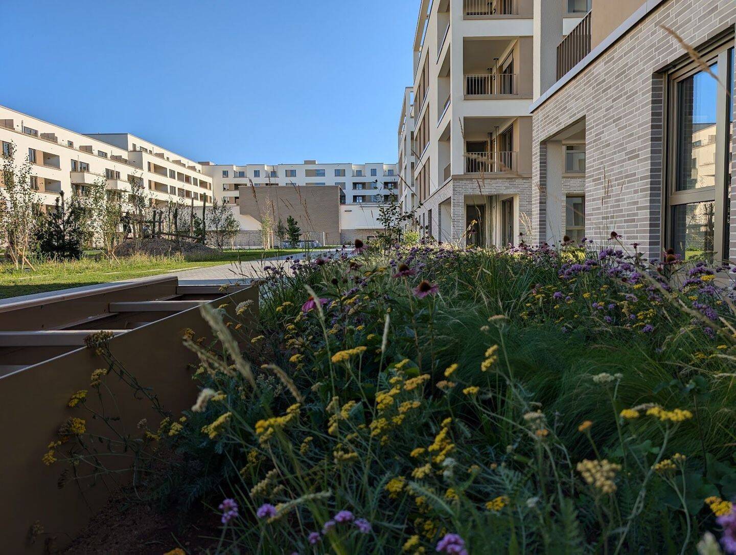 Moderne 2 Zimmer Wohnung mit offener Küche in Darmstadt, 64285 Darmstadt (Darmstadt)