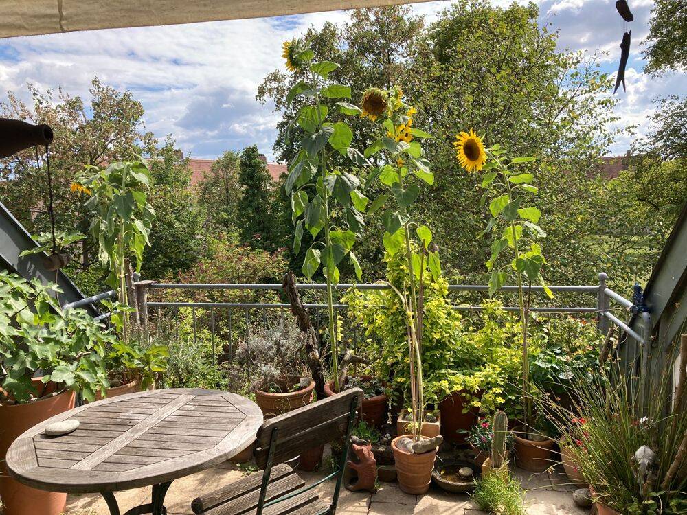 Lichtdurchflutete Maisonette mit Charme & Dachterrasse – sofort frei!, 85055 Ingolstadt