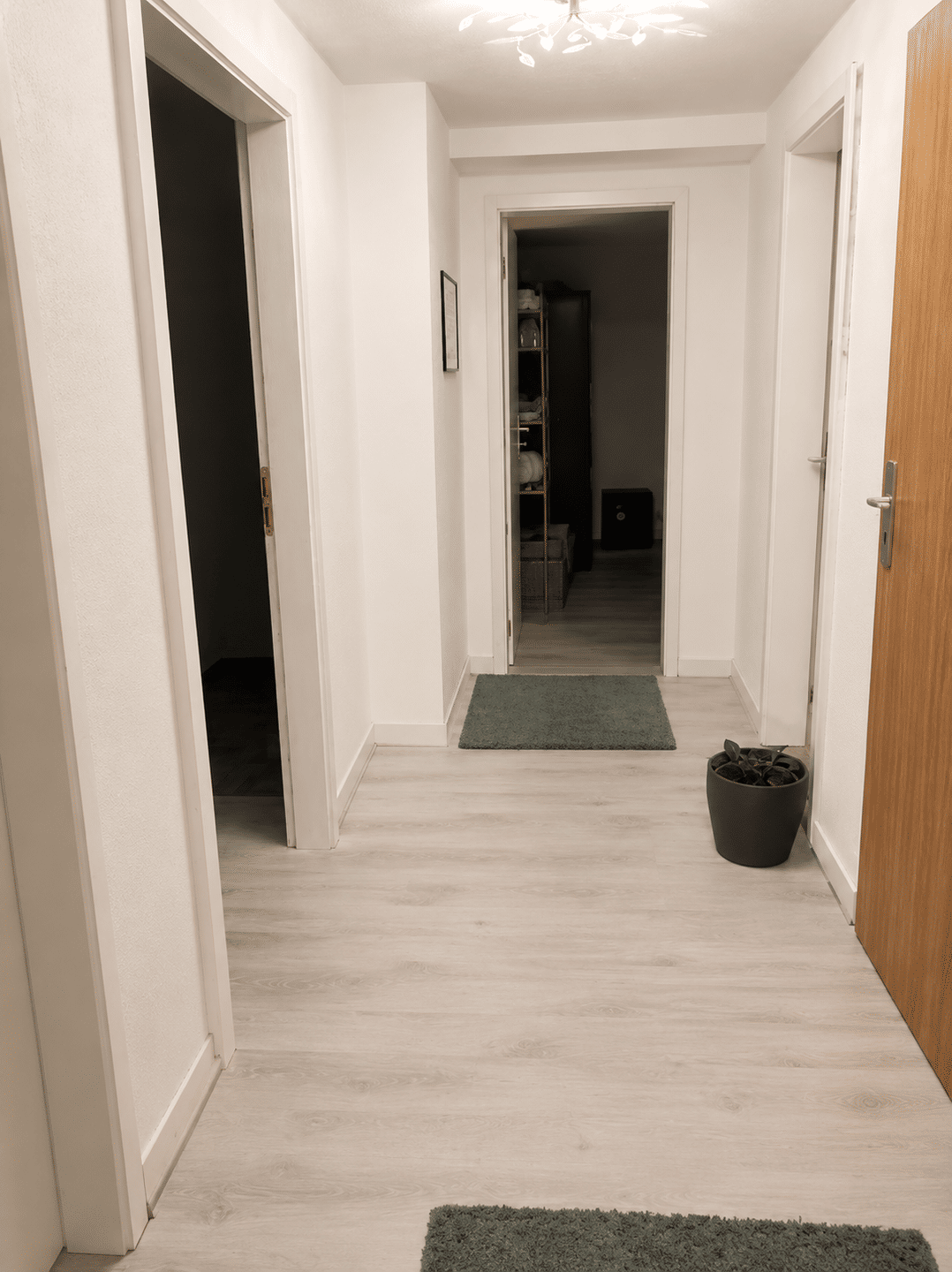 image-72784976