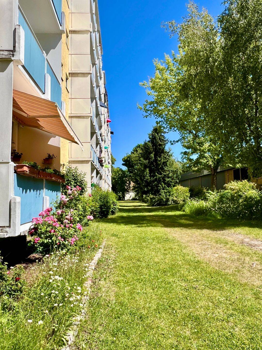 Bezugsfreie + helle 2-Zi-Whg. ZENTRAL in Tempelhof + Süd-Balkon + Lift + Keller, 12101 Berlin (Tempelhof-Schöneberg Kolonie Papestr. Schöneberg Tempelhof)