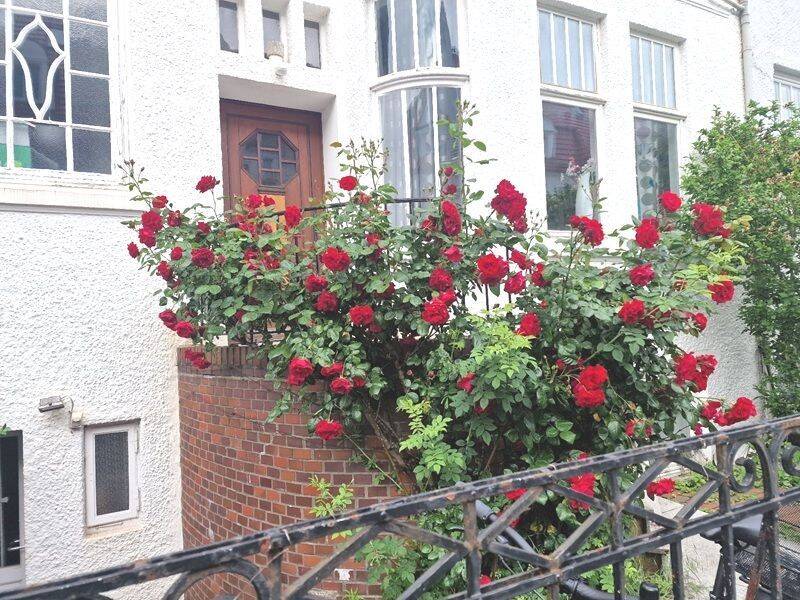 Wachmannquartier: 6 Zimmer Maisonette Wohnung mit Balkon und eigenem Gartenanteil, ca. 185 m²