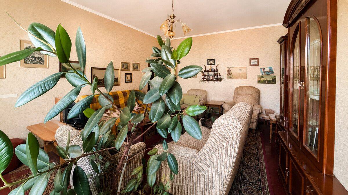 Eigentumswohnung mit Potenzial im Erdgeschoss – gestalten Sie Ihr neues Zuhause in Wolfen!, 6766 Bitterfeld-Wolfen