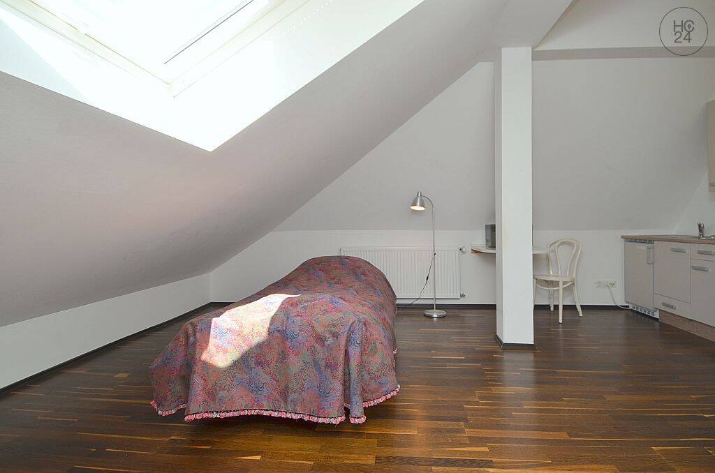 Möbliertes 1-Zimmer Apartment im Dachgeschoss mit Internet in Mainz, 55131 Mainz (Altstadt Neustadt Oberstadt Weisenau)