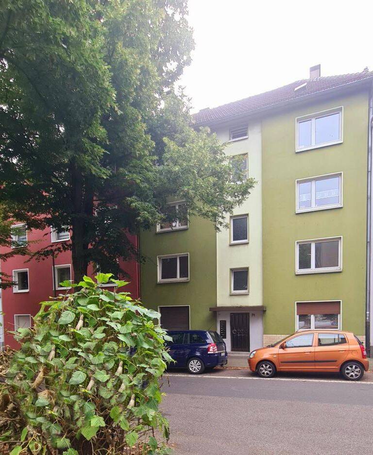 image-72502733