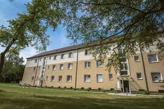 Die gefällt mir: individuelle 2-Zimmer-Wohnung, 21502 Geesthacht