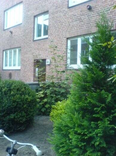 Sehr schön und hell! 2-Zimmer-Wohnung in der Bartholomäusstraßein HH-Mundsburg! Offene Besichtigung ist am 27.07.2026um 17.00 Uhr.!, 22083 Hamburg (Hamburg-Nord Barmbek-Süd)