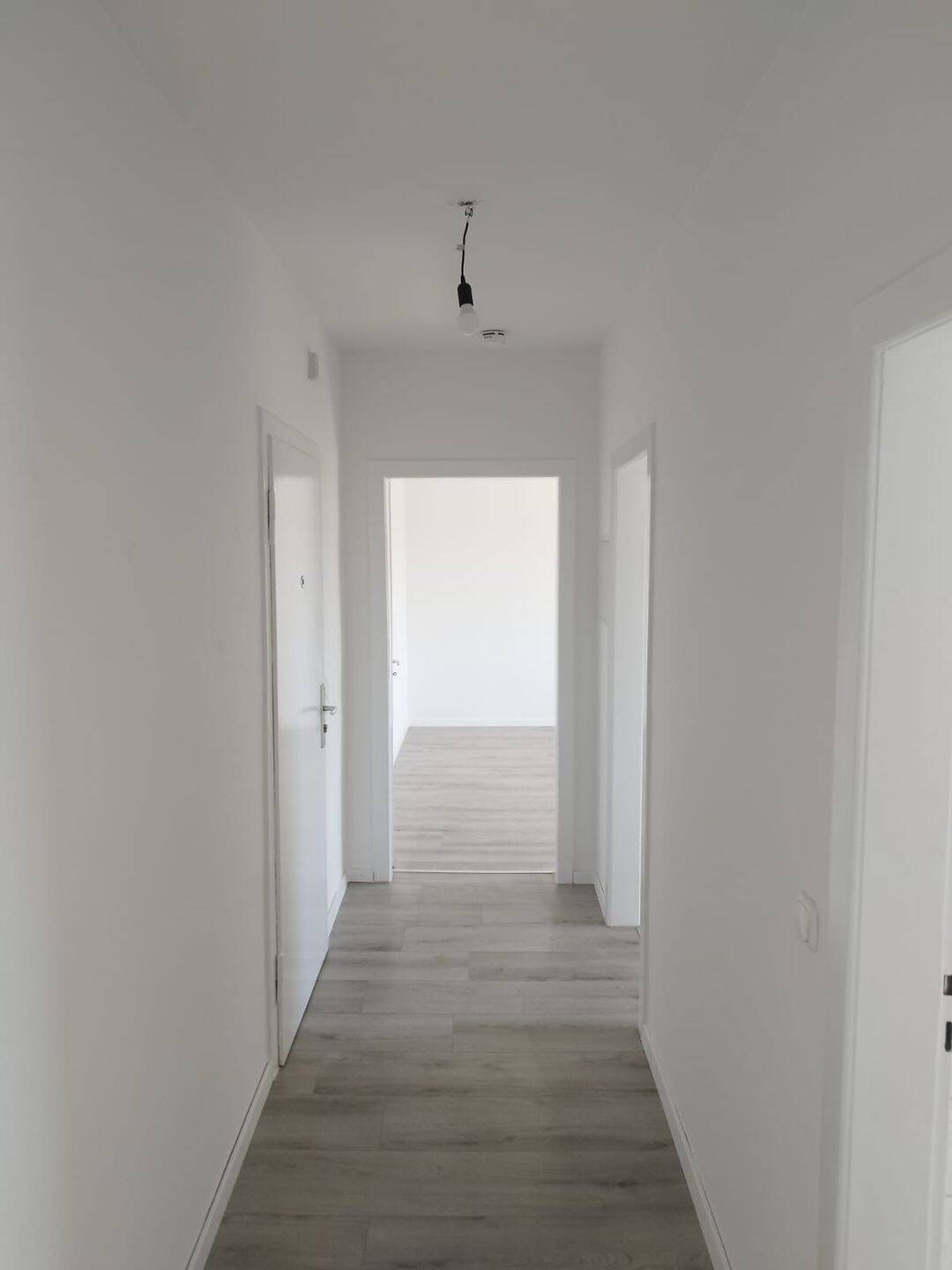 image-72680349