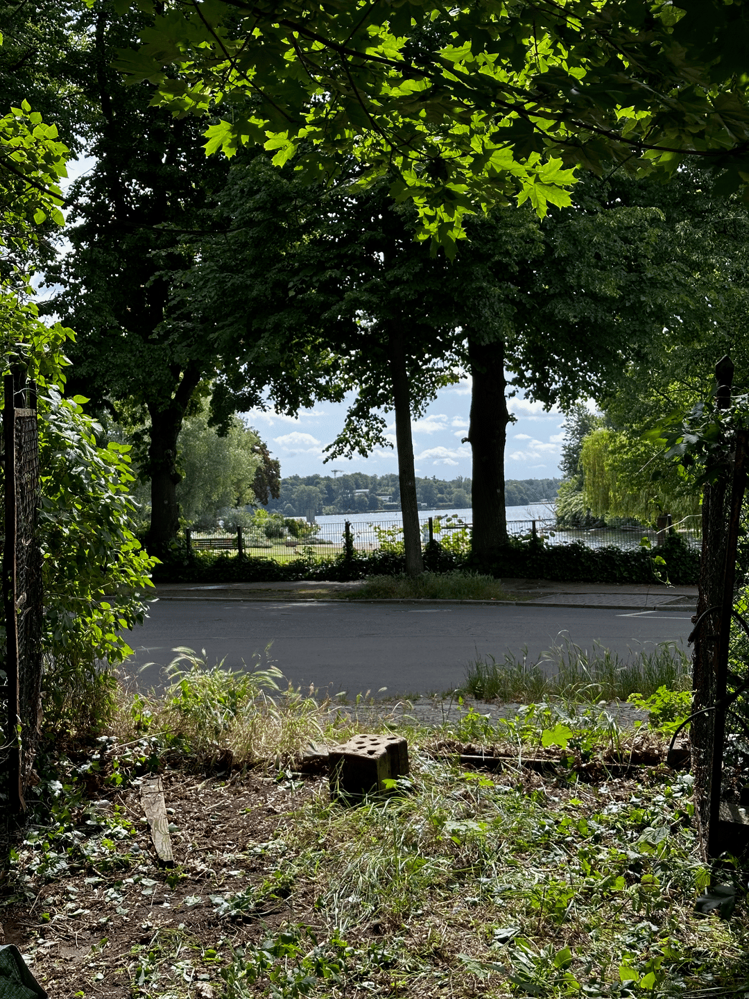 1. Reihe am Wannsee mit Seeblick, 14089 Berlin (Spandau Gatow Kladow Kolonie Windmühlenberg)