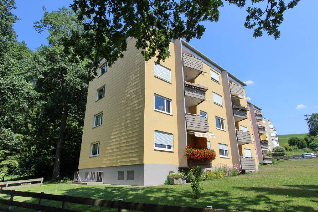 Appartement mit Bergsicht in toller, ruhiger Stadtrandlage, 88239 Wangen im Allgäu