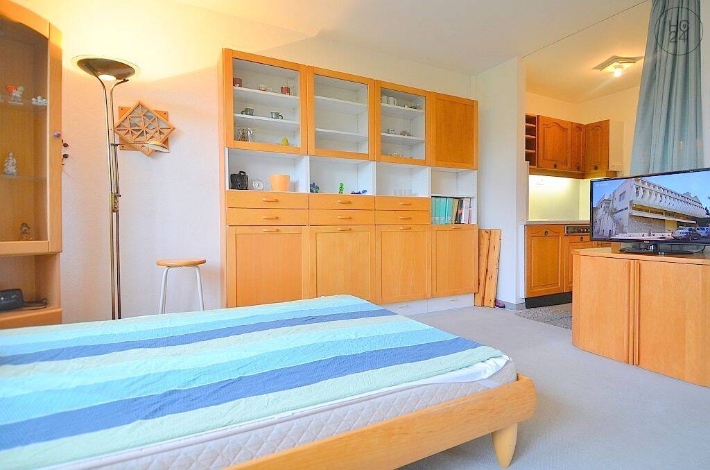 Möblierte 1-Zimmer-Wohnung mit WLAN, in beliebter Lage Nürnberg/St.-Johannis, 90419 Nürnberg (Kleinweidenmühle Sankt Johannis)