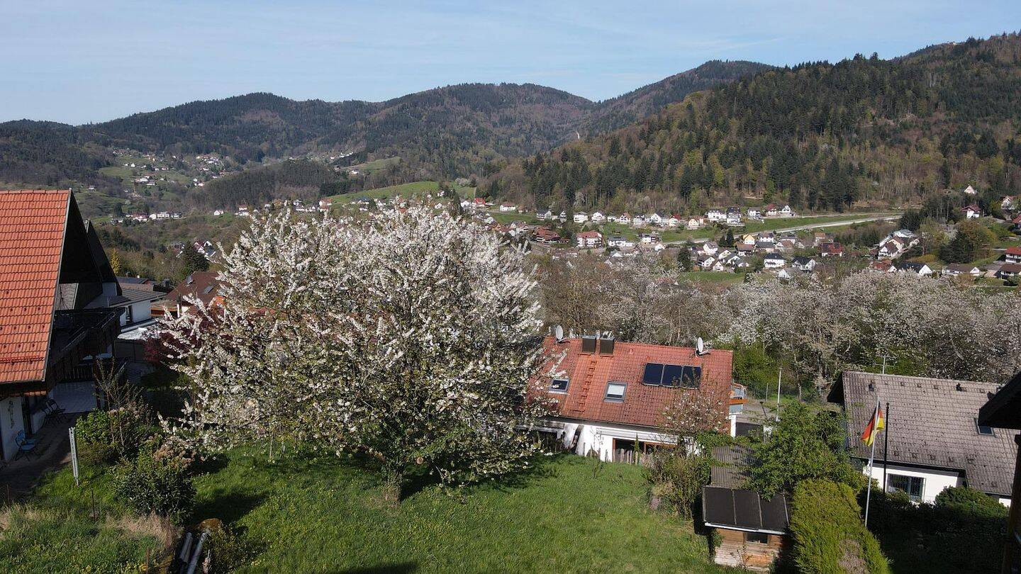 image-72636028