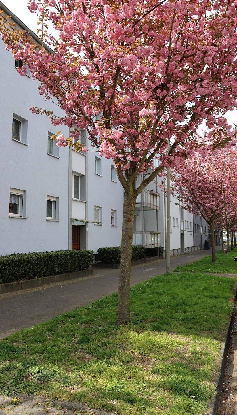 Gut geschnittene 2,5 Raum Wohnung, 44649 Herne (Baukau-West Crange Röhlinghausen Wanne)