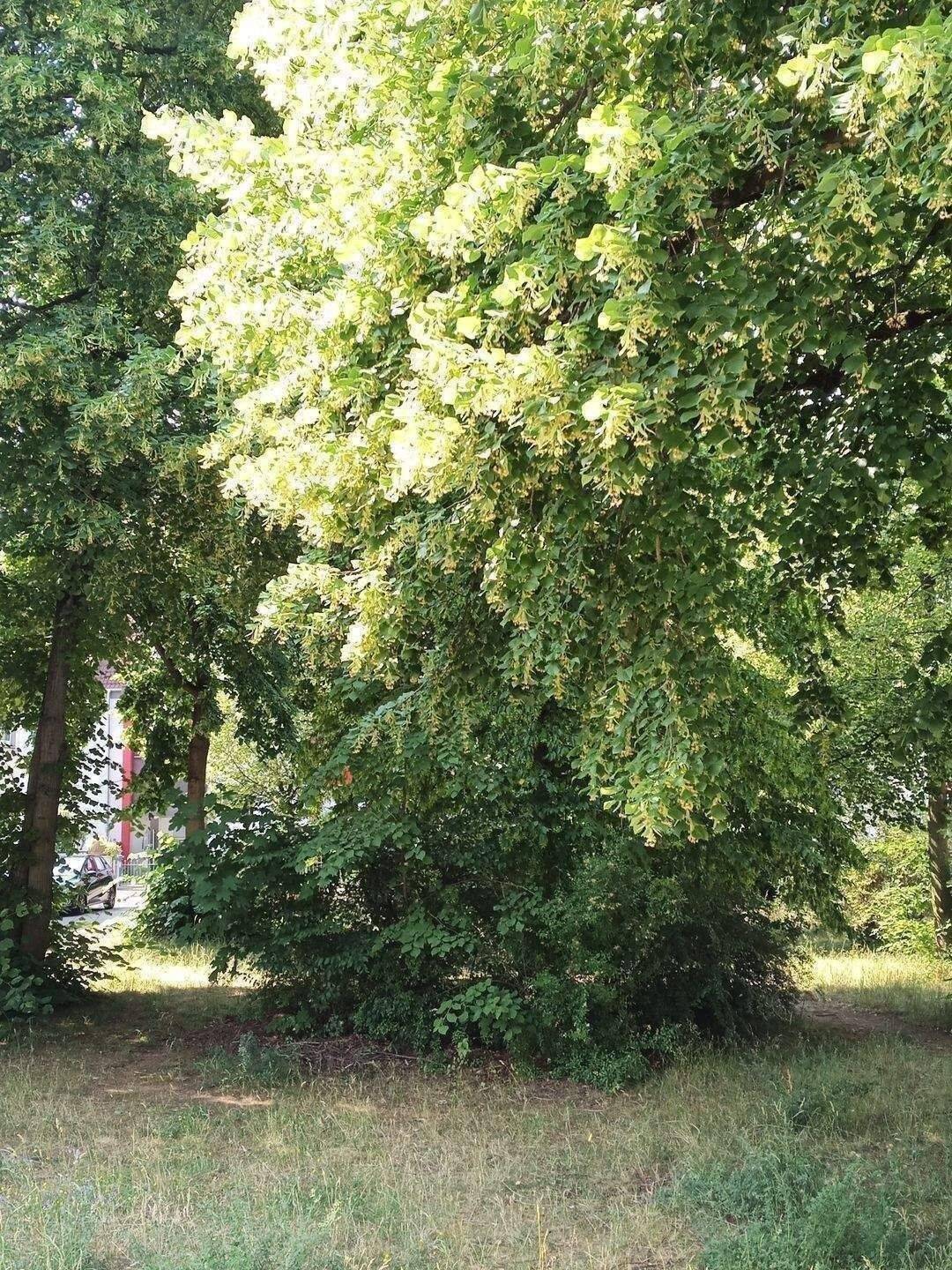 Moderne 3-Zimmer-Wohnung in Schweinau, Nürnberg – ideal für Singles und Paare, 90441 Nürnberg (Gibitzenhof Sandreuth Schweinau Werderau)