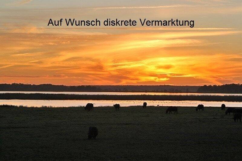 Wasserblick von Großem Haus mit 3 WE in traumhafter Lage auf dem Darß, 18375 Wieck a. Darß