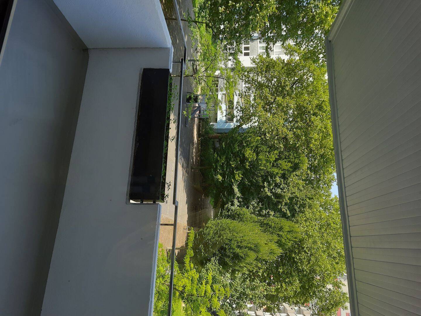 image-72550902