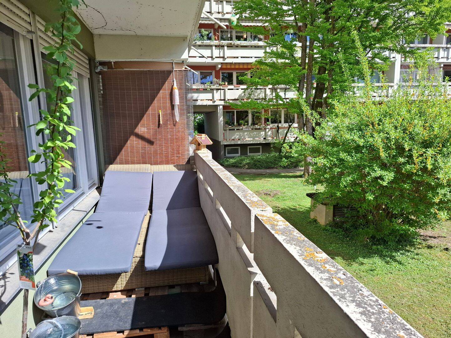 image-72604354