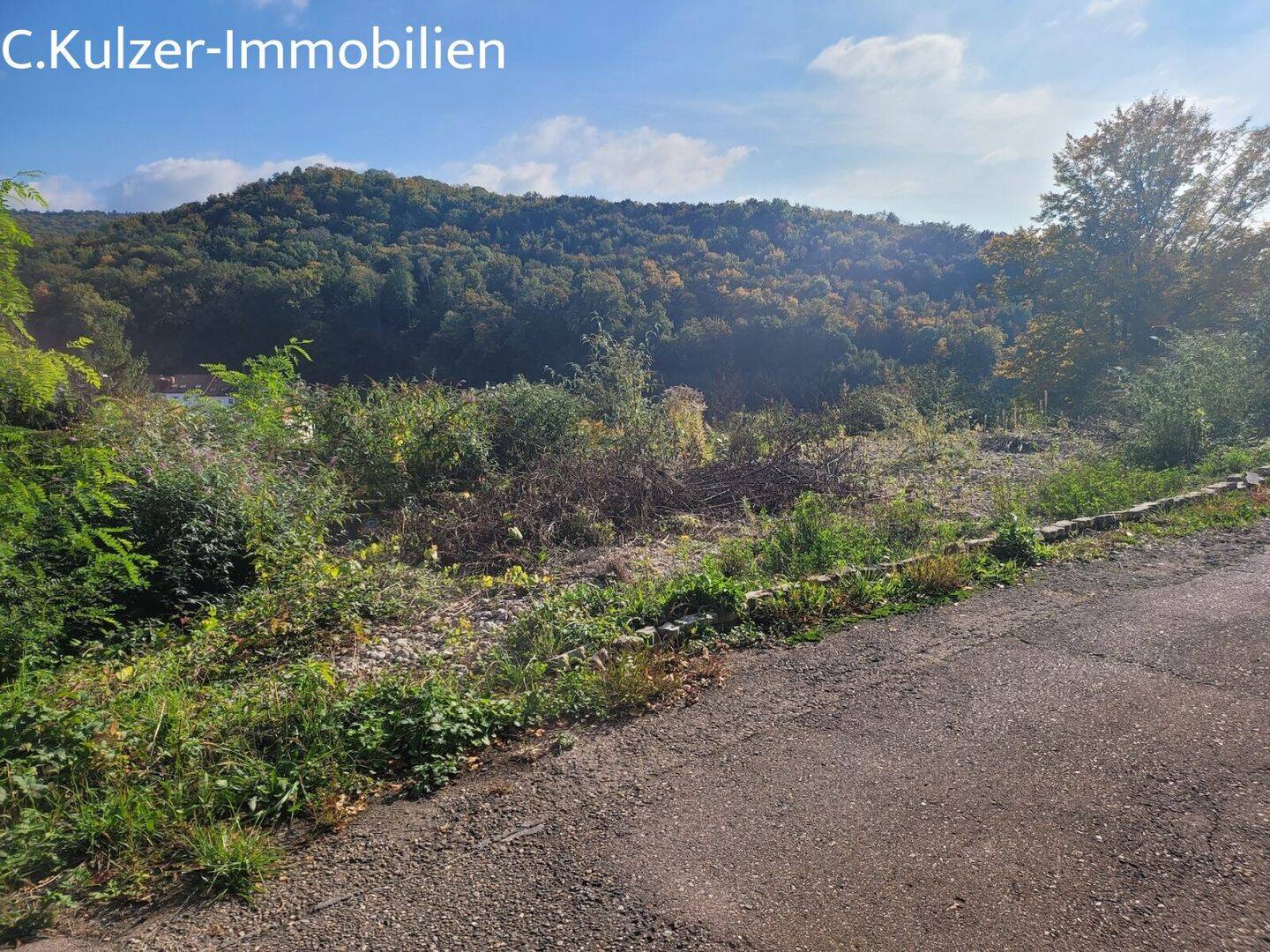 Schöner Bauplatz für Ihr großes DH oder Villa, in bevorzugter exponierter Hanglage, in Lörrach, 79539 Lörrach