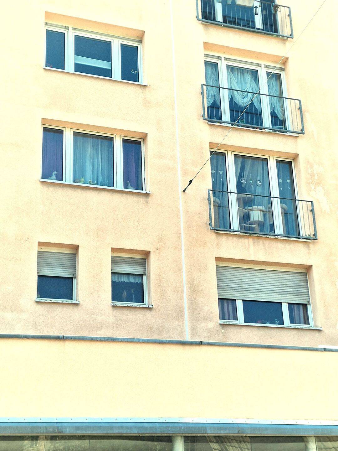 image-72558102