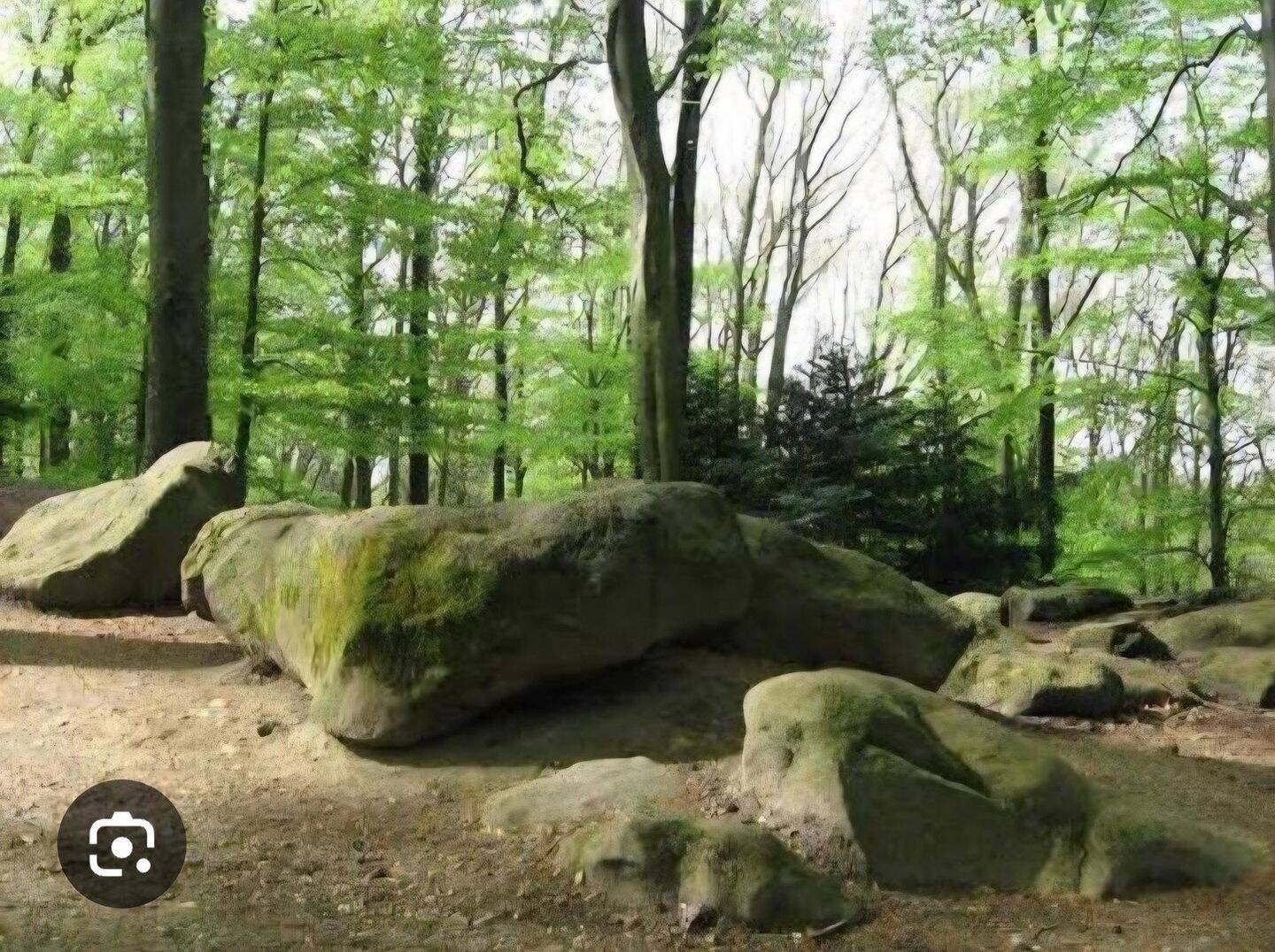 Penthouse mit Haus im Haus in Düsseldorf am Wald, 40472 Düsseldorf (Hubbelrath Lichtenbroich Rath Unterrath)