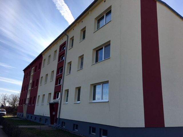 image-72399157