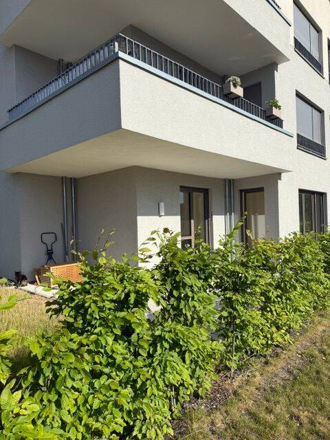 Großzügige Gartenwohnung zwischen Naturschutzgebiet und Technische Hochschule, 10318 Berlin (Treptow-Köpenick)