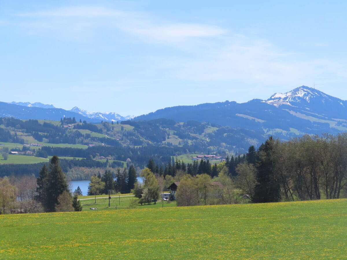 image-72485176