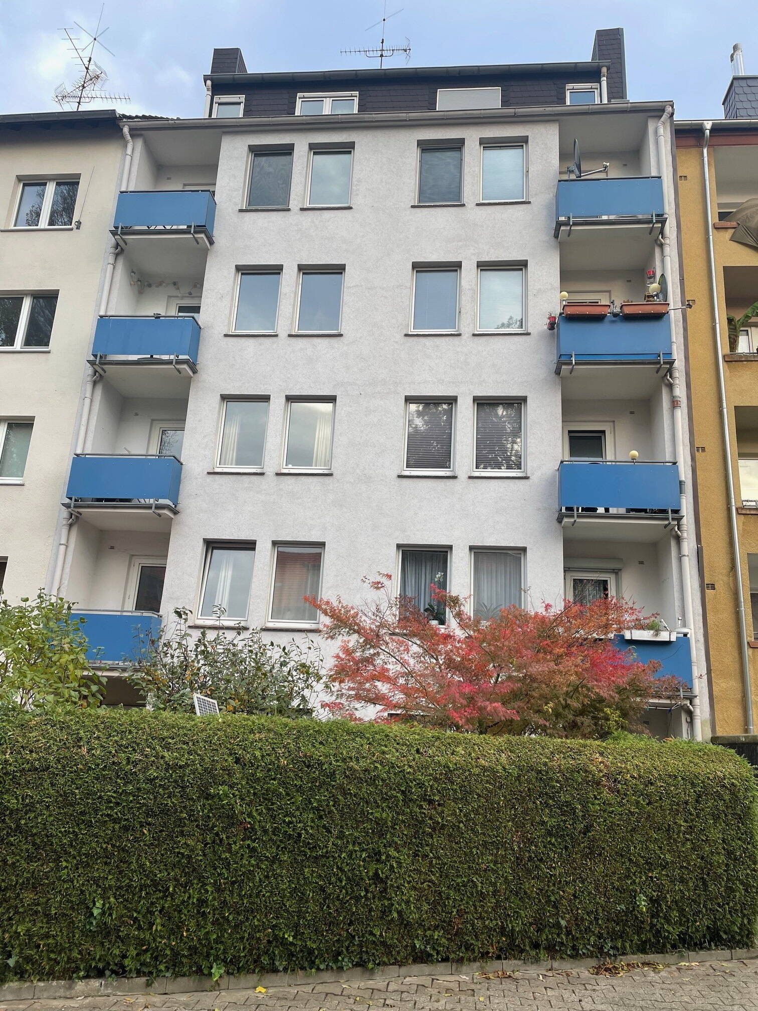 image-72644183